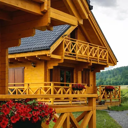 Pod Czarną Górą Domek alpejski *